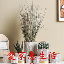 花盆 陶土花盆 小花盆 桌面花盆 帶孔花盆陶土麻繩垂吊墻壁吊盆陶瓷花盆壁掛懸掛創意四色花盆多肉植物盆栽 歷史價格詳細信息