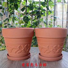 花瓶 大號透明直筒玻璃花瓶 落地加厚馬醉木 插花裝飾擺件 jing品人 歷史價格詳細信息