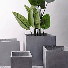 林內歐化雙口玻璃嵌入爐RBTS-227GC(LPG)瓦斯爐桶裝瓦斯【RBTS-227GC(B)_LPG】 歷史價格詳細信息