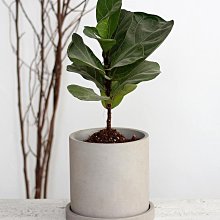 天然陶土炒鍋不粘鍋家用無油煙雙色炒菜鍋電磁爐燃氣灶適用 歷史價格詳細信息