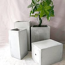 花泥插 大號15入組 永生花材料 乾燥花材料 手作材料 使用於乾花泥 可製作永生花盅 歷史價格詳細信息