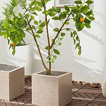 花盆 盆栽 水泥盆 花器 大花盆 水泥花盆簡亦|水泥大花盆北歐風格簡約創意盆栽綠植大號火山石自然紋理 歷史價格詳細信息