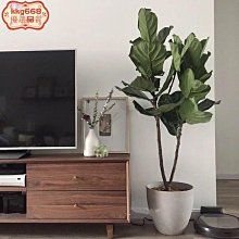 高檔陽明山天籟溫泉會館 露天風呂下殺甜蜜價399元(現場收費900元) 歷史價格詳細信息