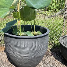 花盆 盆栽 水泥盆 花器 大花盆 水泥花盆簡亦|水泥大花盆北歐風格簡約創意盆栽綠植大號火山石自然紋理 歷史價格詳細信息