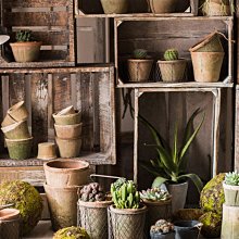 花盆 盆栽 水泥盆 花器 大花盆 水泥花盆簡亦|水泥大花盆北歐風格簡約創意盆栽綠植大號火山石自然紋理 歷史價格詳細信息