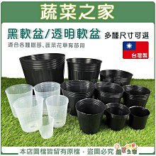 【蔬菜之家滿額免運】植物高壓繁殖盒大中小3個尺寸可選 生根盒,控根器,繁殖球,生根繁殖器,植物高壓球 歷史價格詳細信息