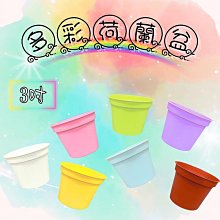 取塑件機械手臂三軸五軸全伺服雙臂橫走注塑機工業自動化機械手 歷史價格詳細信息