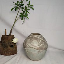 窯變花瓣茶杯主人杯家用高檔高端女士男士茶盞功夫茶具情侶品茗杯 歷史價格詳細信息