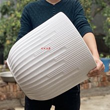 花盆陶瓷花盆特大號庭院種鐵樹琴葉榕天堂鳥發財樹客廳家用大花盆 歷史價格詳細信息