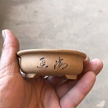 80-90年代 日本社會人野球 JABA 全新未拆官方比賽球1顆600元 山中正竹 杉浦正則 謝長亨 劉秋農 黃平洋 歷史價格詳細信息