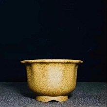 柴燒名家南蠻盆2273 歷史價格詳細信息