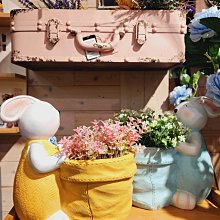 《萌兔花園》雙人純棉床包枕套組 歷史價格詳細信息