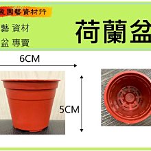 14-5/16&quot; x 3-5/16&quot; Large Birch Wood Applique 歷史價格詳細信息