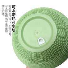 吊盆伸縮升降掛勾 304不鏽鋼繩 花盆掛勾 園藝掛鉤 花盆吊繩懸掛繩 歷史價格詳細信息