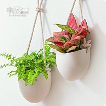 吊盆懸掛式塑料藤編吊籃花盆大號綠蘿綠植懶人自吸水專用壁掛 歷史價格詳細信息
