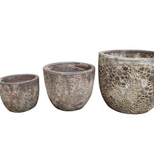 (現貨供應)DC華納專賣店BenToy JLA Plate 蝙蝠俠 限量版盤子(黃K金包邊)Alex Ross art 歷史價格詳細信息