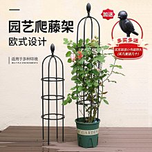 鐵藝爬藤架薔薇綠蘿架子月季柵欄陽臺庭院室內戶外室外家用爬藤架 歷史價格詳細信息