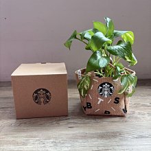 星巴克夏日沁涼兩用肩背包 歷史價格詳細信息