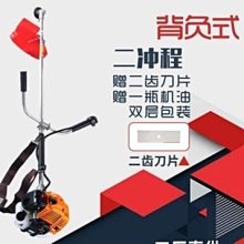 側掛式小型刷草機中 背負式草坪養護梳理機 人造草坪清理 歷史價格詳細信息