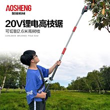 電鏈鋸電動修枝建加長延長桿1.5米2.2米2.5米高枝桿高枝剪高枝鋸【快速出貨】 歷史價格詳細信息