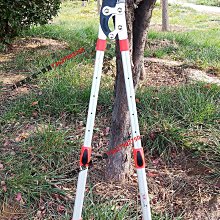 易速XJ909稀果采果剪葡萄剪子摘果帶鋸齒蔬花疏果細長剪刀不銹鋼【沐雨家居】 歷史價格詳細信息