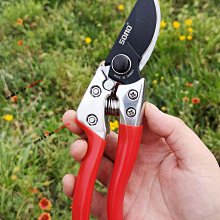 樹枝剪 修枝剪 園藝剪 省力剪 園藝剪 無刷電動剪刀 充電式剪刀 電動修枝剪 高枝修枝剪刀 多功能電動剪刀 歷史價格詳細信息