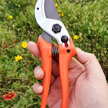 樹枝剪 修枝剪 園藝剪 省力剪 園藝剪 無刷電動剪刀 充電式剪刀 電動修枝剪 高枝修枝剪刀 多功能電動剪刀 歷史價格詳細信息