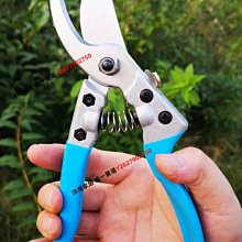 樹枝剪 修枝剪 園藝剪 省力剪 園藝剪 無刷電動剪刀 充電式剪刀 電動修枝剪 高枝修枝剪刀 多功能電動剪刀 歷史價格詳細信息