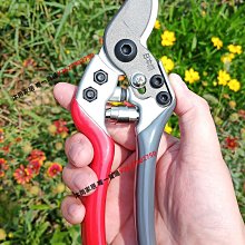 樹枝剪 修枝剪 園藝剪 省力剪 園藝剪 無刷電動剪刀 充電式剪刀 電動修枝剪 高枝修枝剪刀 多功能電動剪刀 歷史價格詳細信息