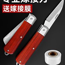 嫁接膜果樹纏繞膜嫁接專用薄膜苗木紮帶膜自粘嫁接免打結拉伸膜 歷史價格詳細信息