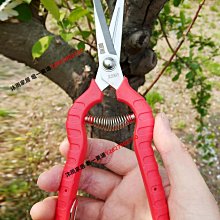 易速XJ909稀果采果剪葡萄剪子摘果帶鋸齒蔬花疏果細長剪刀不銹鋼【沐雨家居】 歷史價格詳細信息