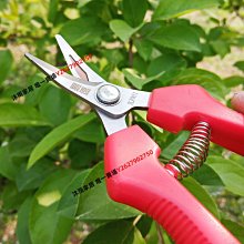 易速XJ909稀果采果剪葡萄剪子摘果帶鋸齒蔬花疏果細長剪刀不銹鋼【沐雨家居】 歷史價格詳細信息