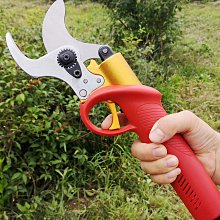 充電式鋰電剪刀果樹剪枝剪子易速S35電動修枝剪樹枝剪花枝園藝剪-沐雨家居 歷史價格詳細信息