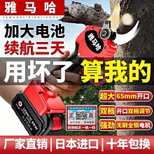 鋰電電動修枝剪刀 16.8V雙電池 電動園藝修剪機/攜便式電動修枝剪/鋰電電動修枝剪刀/充電式果樹剪/樹枝剪  保固半年 歷史價格詳細信息