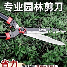 綠林老虎鉗電工專用多功能家用鋼絲鉗尖嘴鉗萬用日本進口工藝鉗子公司開  露天市集  全台最大的網路購物市集 歷史價格詳細信息