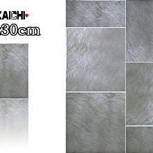 進口岩田噴筆 日本原裝 超值配備版 HP-CP 0.3 口徑 可刷卡 可分期 歷史價格詳細信息