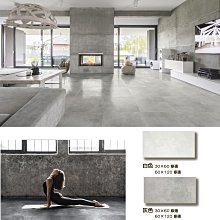 【鑫鎧棋磁磚精品】60*120 越南進口 皇家砂岩磚 三色 地磚.壁磚 超級優惠.商城最低價 770/片 歷史價格詳細信息