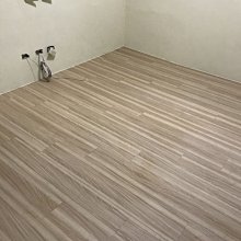 中壢區可自取【Eaprst專業維修商】EPSON LQ-2070/2080/2170/2180 全新高品質擋片  未稅 歷史價格詳細信息