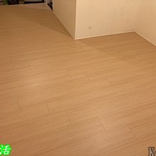 森盛运动  DYN戴恩斯特騎行装备 自行车装备 男女山地公路腳踏車盔強透氣磁吸扣配後背包車迷辰 歷史價格詳細信息