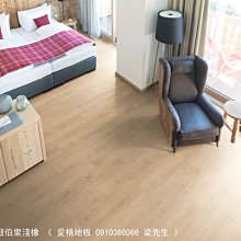 ♥最美最亮最划算的：醇養容♥3盒 歷史價格詳細信息