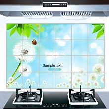 防水防油廚房加厚PU皮革地墊45x120cm(灰色)[大買家] 歷史價格詳細信息