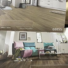 膠東即墨剛出的新品種，極其稀少，設計精美，品相一流15206 歷史價格詳細信息