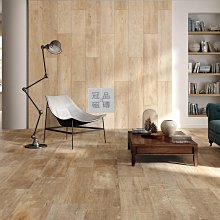 ◎冠品磁磚精品館◎西班牙精品-數位噴墨木紋磚(共三色) – 22X90CM 歷史價格詳細信息