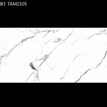 《磁磚本舖》威尼斯灰 10*20公分 復古壁磚 主題牆 吧台 義大利進口 復古美學 歷史價格詳細信息