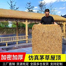 人造仿真草坪地毯婚禮戶外綠色假草坪幼兒園草坪人工塑料假草皮 歷史價格詳細信息
