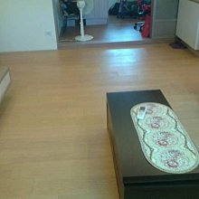 新加坡白麗潔細軟毛卡通兔子可愛2-3-4-5-6-8歲以上帶蓋子兒童牙刷 歷史價格詳細信息