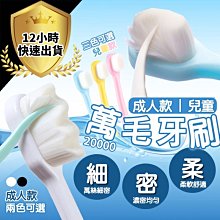 微米萬毛牙刷一組兩入 歷史價格詳細信息