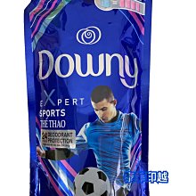 DOWNY柔軟精隨手包 - 加購專區 不單售 廠商直送 歷史價格詳細信息