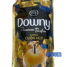 DOWNY柔軟精隨手包 - 加購專區 不單售 廠商直送 歷史價格詳細信息