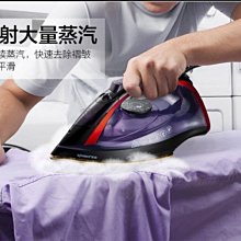 【熱賣】新款家用熨燙機旅行便攜式小型電熨斗 居家蒸汽手持式迷你掛燙機 歷史價格詳細信息